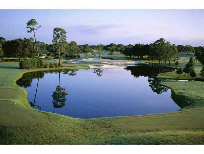 Golf Where the Pros Golf (Orlando, FL) *4 Days at the Arnold Palmer + golf+more - Photo 1