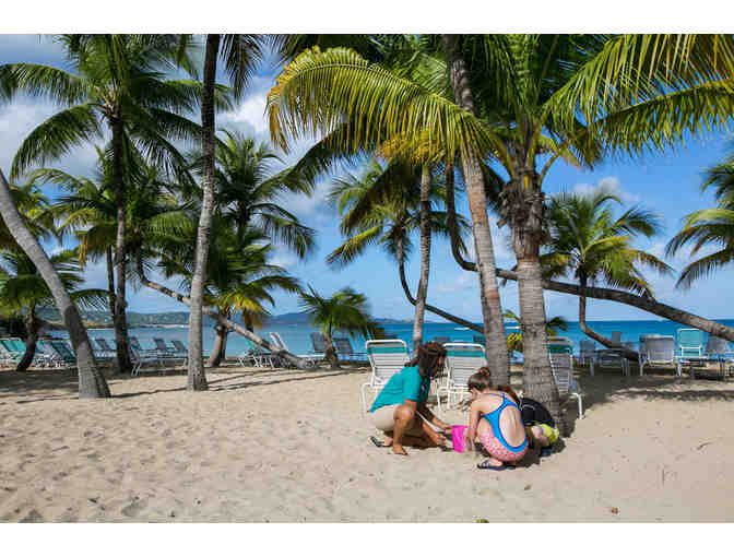 Natural Playground in the U.S. Virgin Islands (St. Croix) *5 Days for family of 4 + more - Photo 5