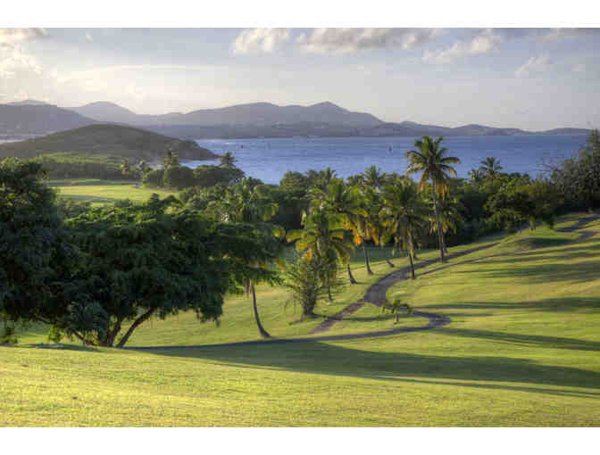 Embrace St. Croix and Escape (US Virgin Islands)* 5 Days for two+snorkeling+tours