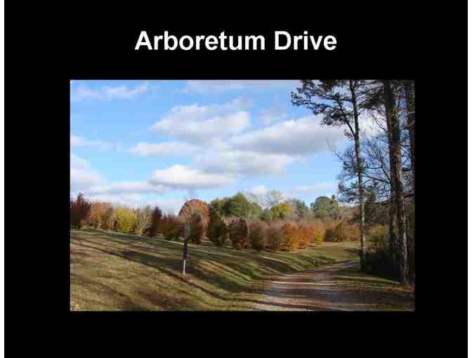 Guided Hike at the UT Arboretum for 10