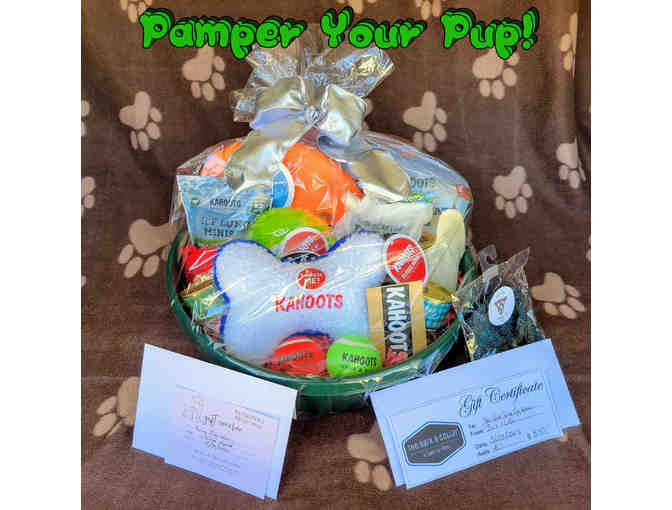 Pamper Your Pup - Mrs. Dunigan - Photo 1