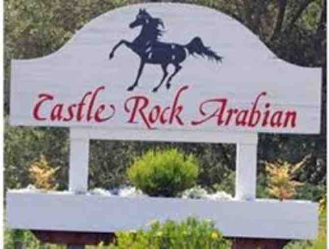 Horse Back Riding Lessons from Castle Rock Arabians