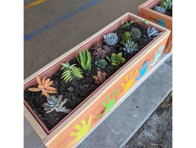 Mrs. Bartlett's First Grade: Handcrafted Succulent Garden