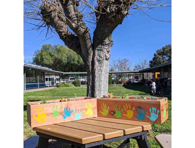 Mrs. Bartlett's First Grade: Handcrafted Succulent Garden