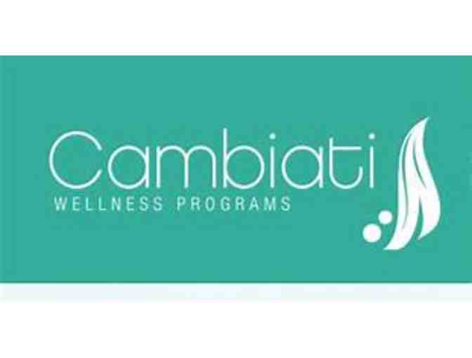 Cambiati Wellness - Three B-12 shots