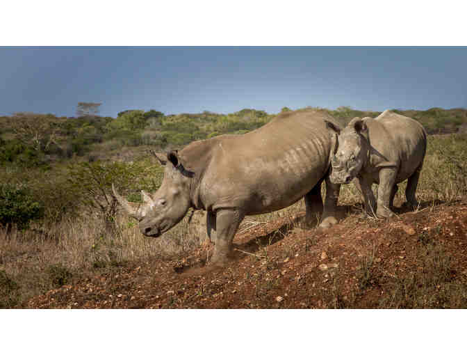 South African Photo Safari for 2 - Photo 5