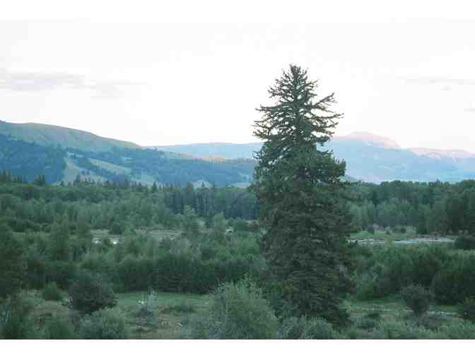 Grand Tetons Vacation