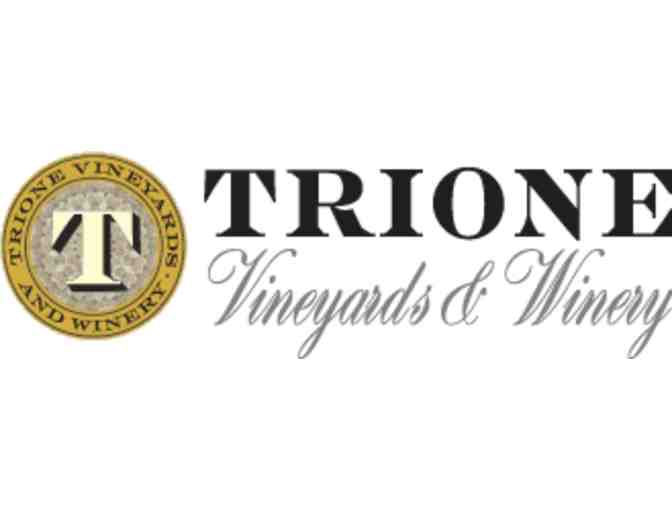 Trione Vineyards & Winery - 6 Person VIP Tour & Tasting