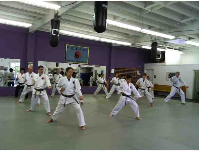 One Month of Emeryville Martial Arts Training
