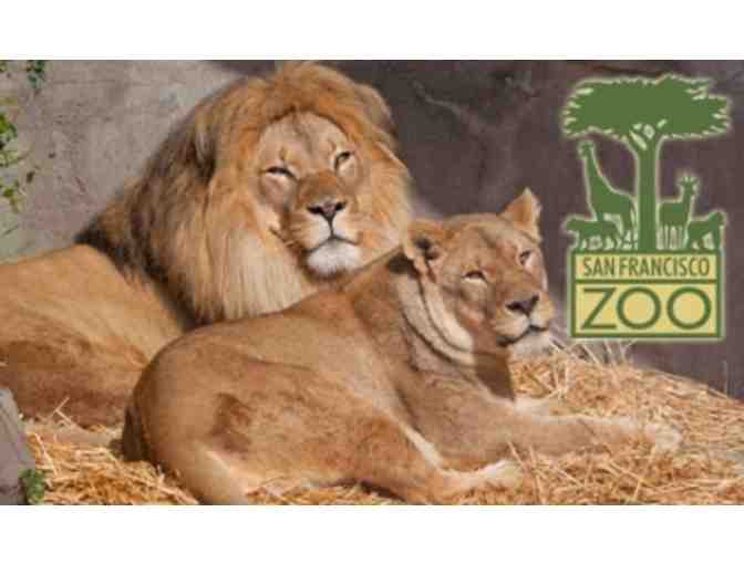 Zoo Animal Package