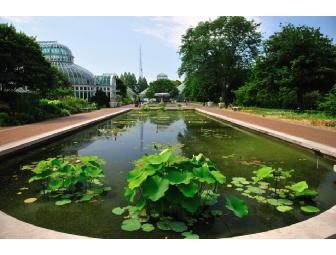 Discover Nature's Palette at the New York and Brooklyn Botanical Gardens