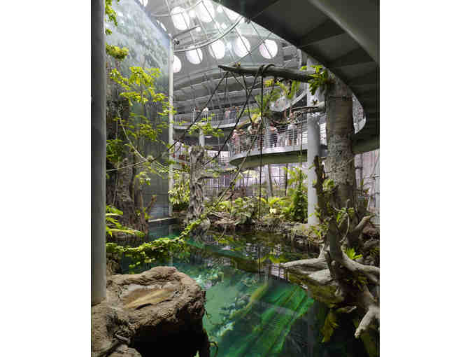 Sunday at the California Academy of Sciences for 4 Students