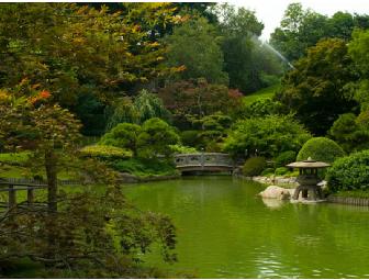 A Tree Grows in Brooklyn: Brooklyn Botanic Garden Family Membership