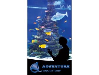 Under the Sea: Four Passes to Adventure Aquarium in Camden, NJ