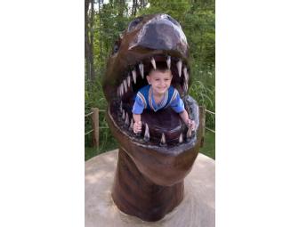 Meet over 150 dinosaurs at Dinosaur World!