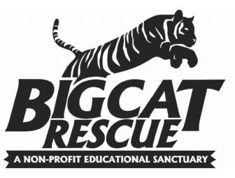 Big Cat Rescue Day Tour Passes