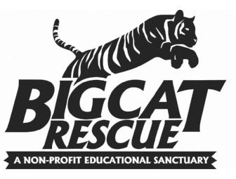 Big Cat Rescue Keeper Tour