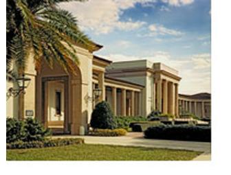 Museum of Fine Arts St. Petersburg Member for a Day Passes