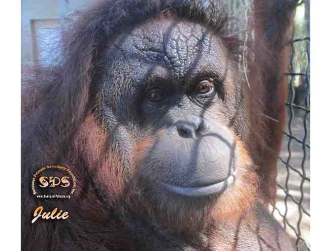 Suncoast Primate Sanctuary tickets