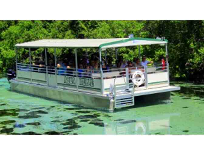 Weeki Wachee Springs State Park / Buccaneer Bay Waterpark Tickets