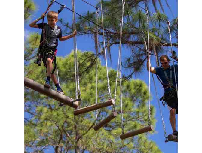 TreeUmph! Adventure Course Tickets