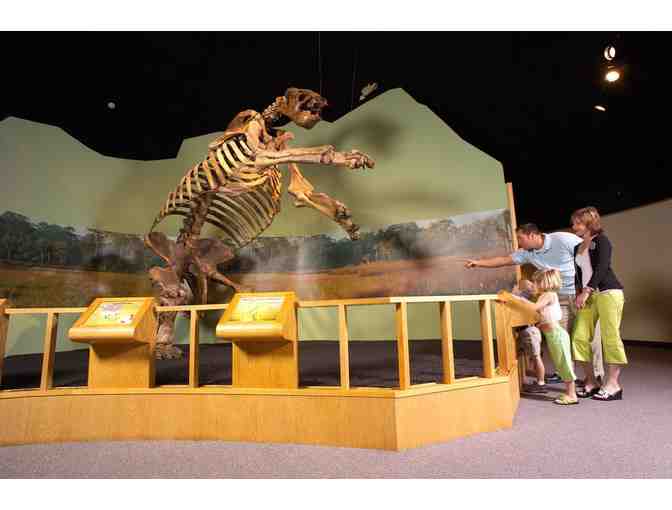 Museum of Arts and Sciences (Daytona Beach) Tickets