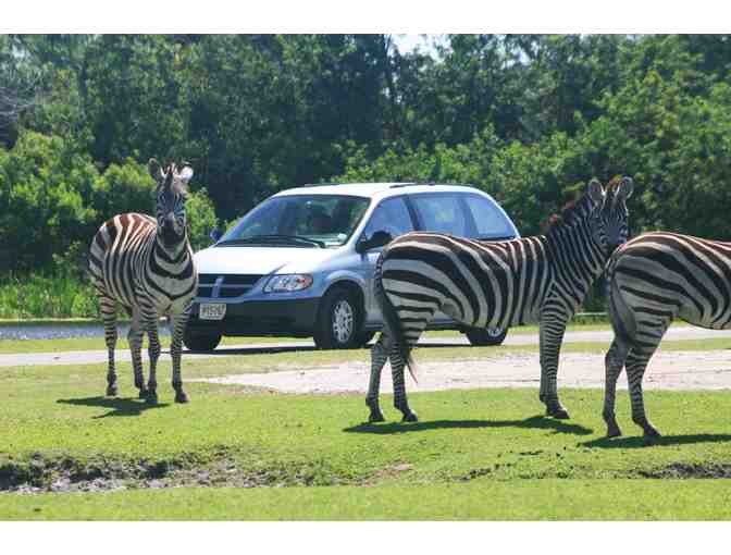 Lion Country Safari Tickets