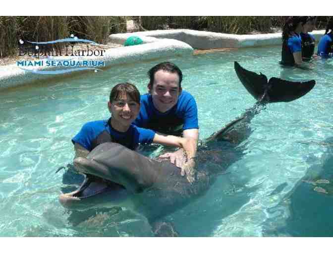 Miami Seaquarium - Two (2) Dolphin Encounter Gift Certificates