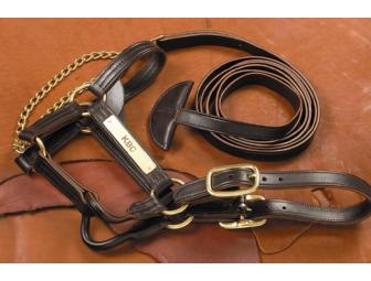 Leather Stallion Halter & Lead Shank with Custom Engraved Brass Nameplates