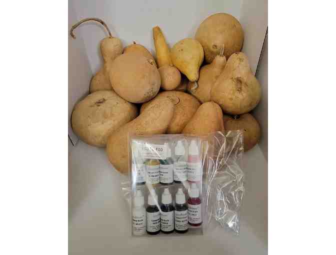 Welburn Gourd Farm - Gourd Kit and Ink Set