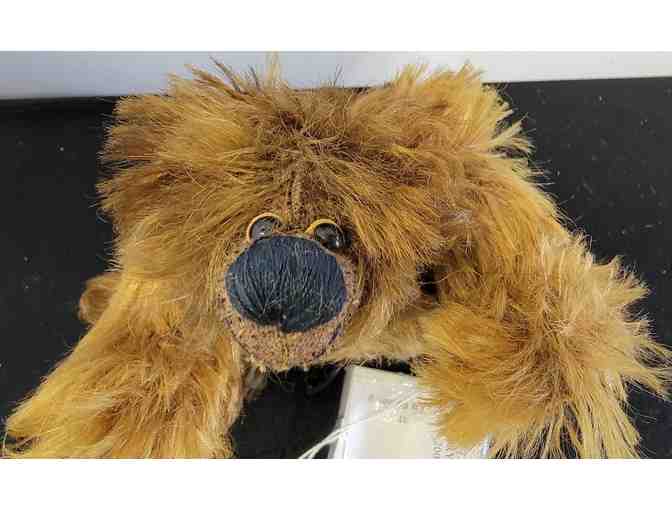 #3 Ira by Bry of Brys Bruins Bears