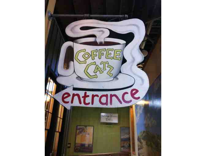 $20 Gift Certificate for Coffee Catz
