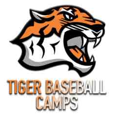 Tiger Baseball Camps