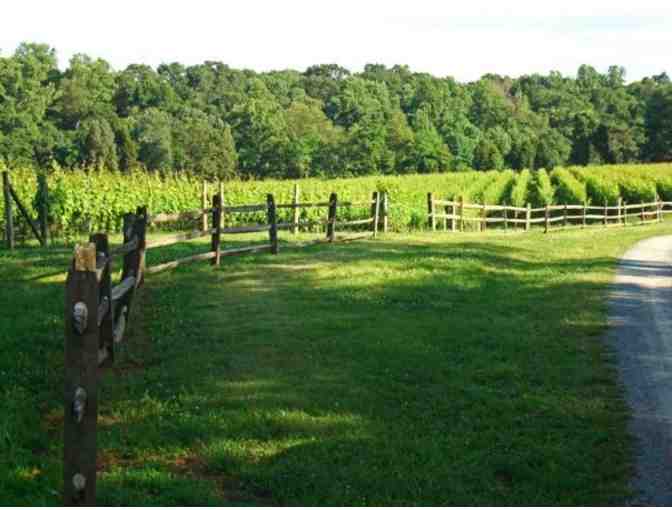 Sugarloaf Mountain Vineyard Tasting & Tour for Four