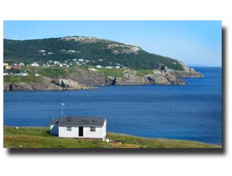 One week Stay in Newfoundland