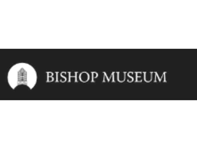 Bishop Museum - Hawaii