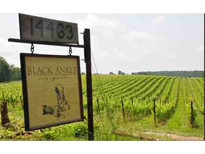 Black Ankle Vineyards - Mt Airy, MD