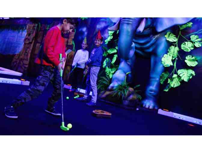 Wild Island Coconut Bowl - Sparks, NV