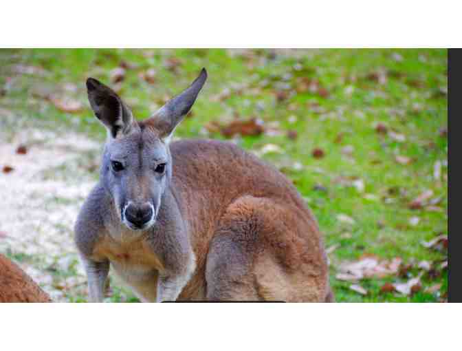 Birmingham Zoo - Birmingham, AL