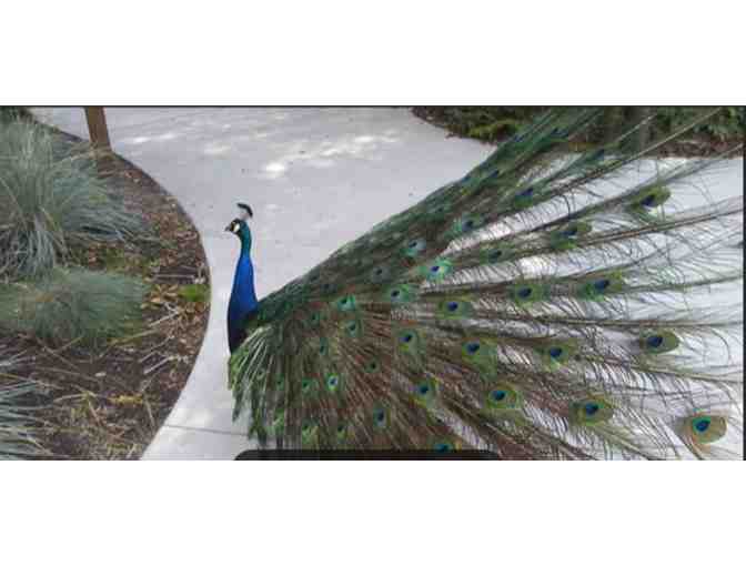 Tracy Aviary - Salt Lake City, UT