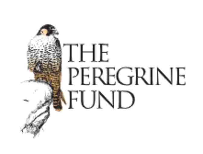 World Center for Birds of Prey - Boise, ID