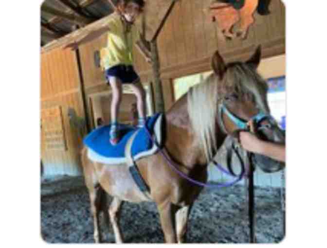 Fund a Need for CATRA - Rider Tuition Assistance