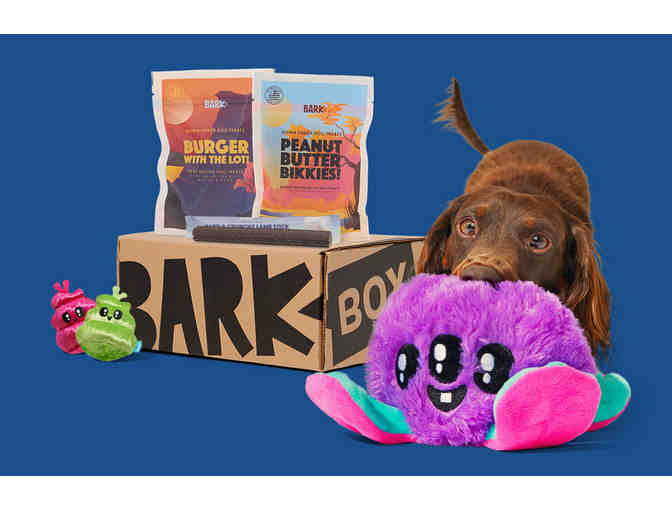Dog-Lover's Package: Private Dog Training and a BarkBox!