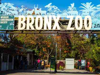4 Limited Admission Tickets to The Bronx Zoo