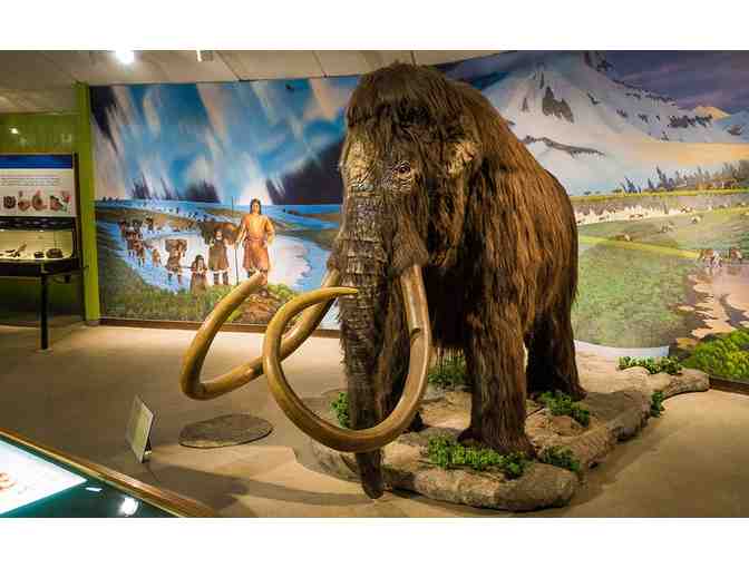 Natural History Museum or the Museum at La Brea Tar Pits - Los Angeles, CA - Photo 7