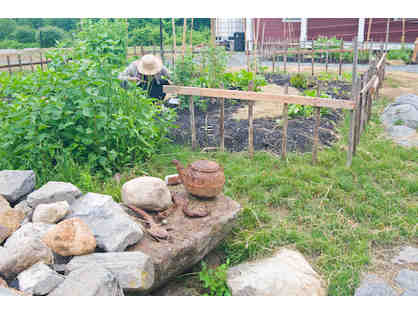 Thoreau Farm's Seed Kit: 19th Century Kitchen Garden at Thoreau's Birthplace