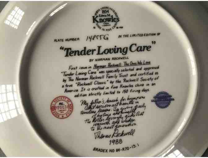 'The Veteran' and 'Tender Loving Care' Norman Rockwell Collector Plates