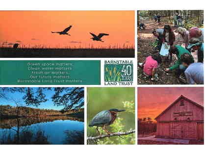 One-Year Membership to the Barnstable Land Trust + Swag!