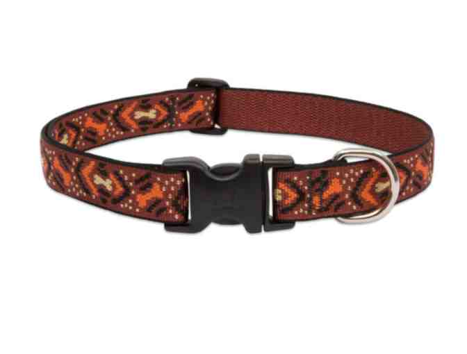 Lupine Pet 'Down Under' Leash and Collar Set