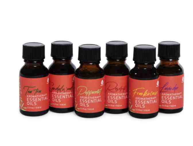 Pursonic aromatherapy essential oils 6 piece set